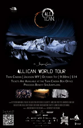 Всё что я могу (2012)